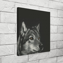 Холст квадратный Спокойный серый  волк - фото 2