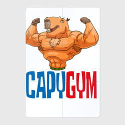 Магнитный плакат 2Х3 CapyGYM - лучший бодибилдинг