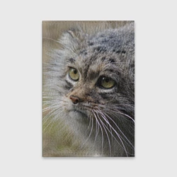 Обложка для паспорта матовая кожа Симпатичный манул