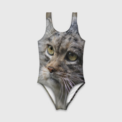 Детский купальник 3D Симпатичный манул - фото 2