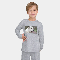 Детская пижама с лонгсливом хлопок Довольный Алабай - фото 2