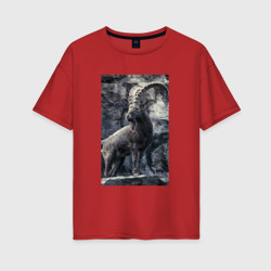 Женская футболка хлопок Oversize Горный козел на фоне скалы