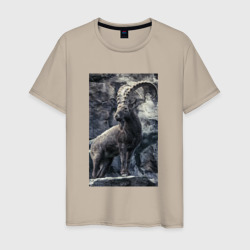 Мужская футболка хлопок Горный козел на фоне скалы