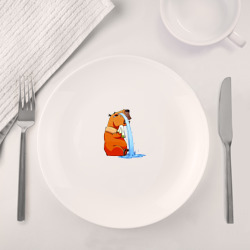 Набор: тарелка + кружка Капибара горько плачет - фото 2