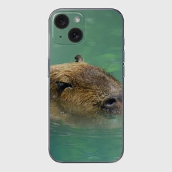 Чехол для iPhone 15 силиконовый с защитой камеры Капибара под водой