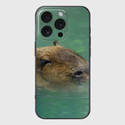 Чехол для iPhone 16 Pro Max силиконовый с защитой камеры Капибара под водой