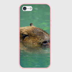 Чехол для iPhone 5/5S матовый Капибара под водой
