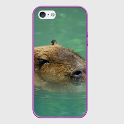 Чехол для iPhone 5/5S матовый Капибара под водой