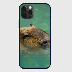 Чехол для iPhone 12 Pro Капибара под водой