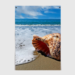 Постер Океанская раковина на песчаном берегу