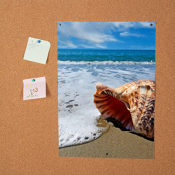 Постер Океанская раковина на песчаном берегу - фото 2