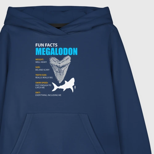 Детская толстовка хлопок с принтом Забавные факты о мегалодонах, фото на моделе #1