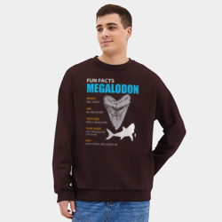 Мужской свитшот oversize без начеса хлопок Забавные факты о мегалодонах - фото 2