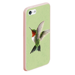 Чехол для iPhone 5/5S матовый Одинокая колибри - фото 2
