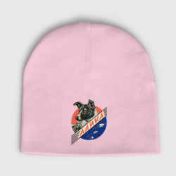 Детская шапка демисезонная Лайка - Космос