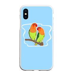 Чехол для iPhone XS Max матовый Парочка попугаев Неразлучников