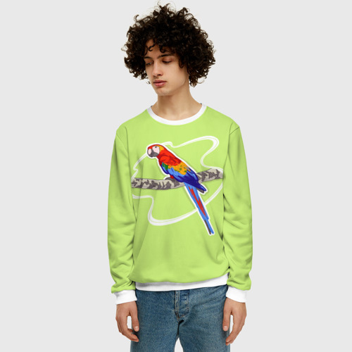 Мужской свитшот 3D с принтом Яркий попугай Ара, фото на моделе #1