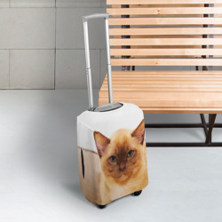 Чехол для чемодана 3D Бурманский котёнок - фото 2