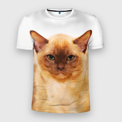 Мужская футболка 3D Slim Бурманский котёнок