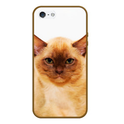 Чехол для iPhone 5/5S матовый Бурманский котёнок
