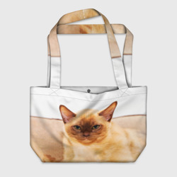 Пляжная сумка 3D Бурманский котёнок