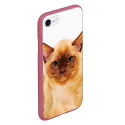 Чехол для iPhone 7/8 матовый Бурманский котёнок - фото 2