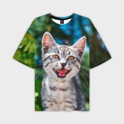 Мужская футболка oversize 3D Мяукающий котёнок породы британская полосатая