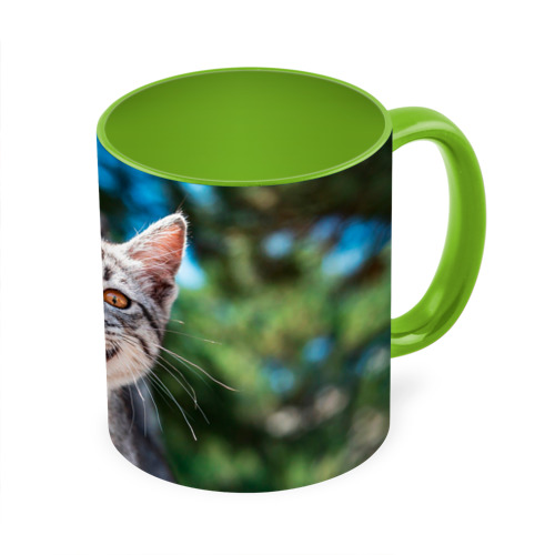 Кружка с полной запечаткой Мяукающий котёнок породы британская полосатая, цвет белый + светло-зеленый - фото 3