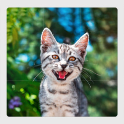 Магнитный плакат 3Х3 Мяукающий котёнок породы британская полосатая