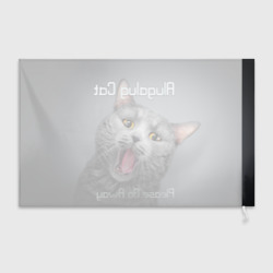 Флаг 3D Поющий британский кот - Alugalug - фото 2