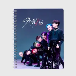Тетрадь Stray Kids K Idols