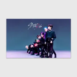 Бумага для упаковки 3D Stray Kids K Idols