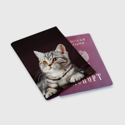 Обложка для паспорта матовая кожа Задумчивый котёнок британской полосатой - фото 2