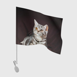 Флаг для автомобиля Задумчивый котёнок британской полосатой