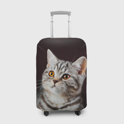 Чехол для чемодана 3D Задумчивый котёнок британской полосатой