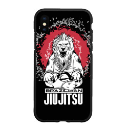 Чехол для iPhone XS Max матовый Jiu-Jitsu red sun Brazil