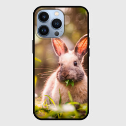 Чехол для iPhone 13 Pro Милый кролик