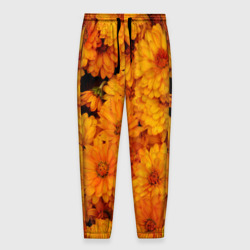 Мужские брюки 3D Фон из желтых цветов