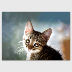 Поздравительная открытка Милый полосатый котёнок