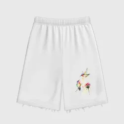 Женские шорты oversize футер хлопок Живопись полет колибри