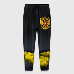 Мужские брюки 3D Золотой герб    России