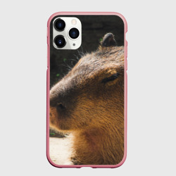 Чехол для iPhone 11 Pro Max матовый Капибара спит