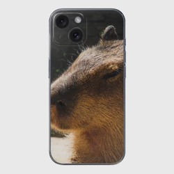 Чехол для iPhone 15 силиконовый с защитой камеры Капибара спит