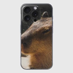 Чехол для iPhone 16 Pro Max силиконовый с защитой камеры Капибара спит