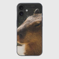 Чехол для iPhone 16 силиконовый с защитой камеры Капибара спит