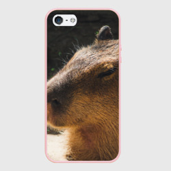 Чехол для iPhone 5/5S матовый Капибара спит