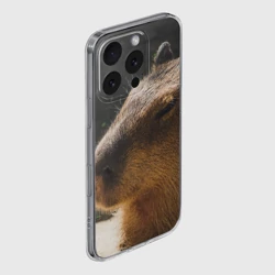 Чехол для iPhone 16 Pro Max силиконовый с защитой камеры Капибара спит - фото 2