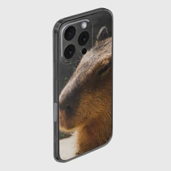 Чехол для iPhone 16 Pro силиконовый с защитой камеры Капибара спит - фото 2
