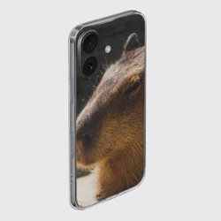 Чехол для iPhone 16 силиконовый с защитой камеры Капибара спит - фото 2