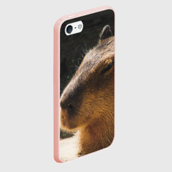 Чехол для iPhone 5/5S матовый Капибара спит - фото 2